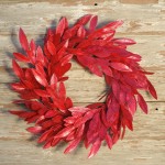 Red Leaves