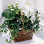 Serenity Basket