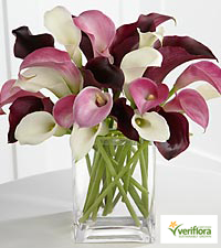 Calla Lilies