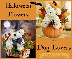 Woof Lovers