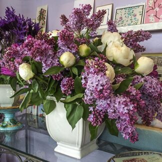 Peonies and Lilacs