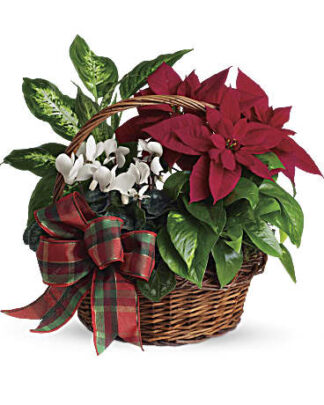 Holiday Homecoming