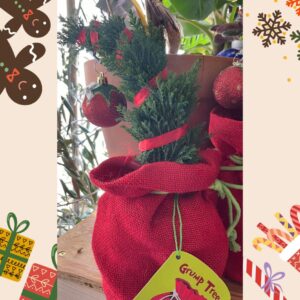 Christmas Centerpiece Ideas + Christmas Table Decorations